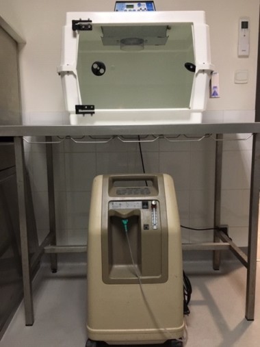 OC VET 34 Veterinaire Marseillan Hospitalisation OC VET 34 Veterinaire Marseillan Hospitalisation