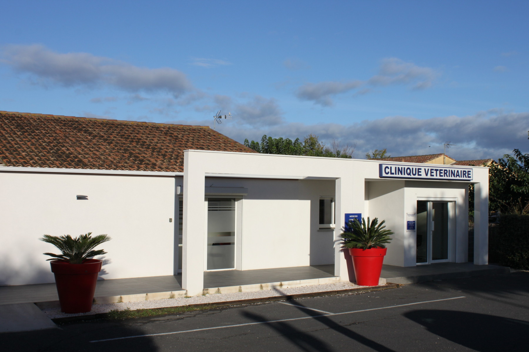 OC VET 34 Veterinaire Marseillan IMG 9576