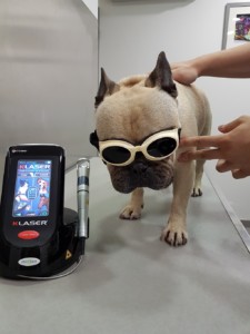 OC VET 34 Veterinaire Marseillan Itoo